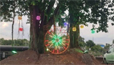 107-year-old banyan tree&rsquo;s birthday celebrated; unique initiative for environmental awareness